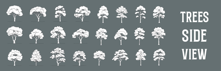 Architectural Drawings Treed vector illustration, side view, trees  Minimal style hand drawn. Sections, Elevations, Floor Plans