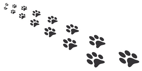 Many simple black animal paw prints are scattered across a plain white background. 
