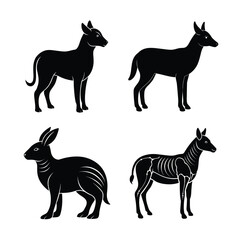 silhouette  Animal