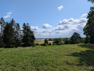 Obraz premium A meadow in Tart, Burgundy, France - June 2025