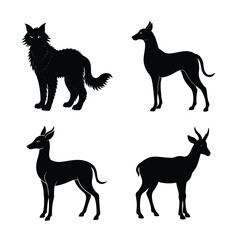 silhouette  Animal