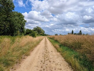 A dirt path in Tart, France - June 2025