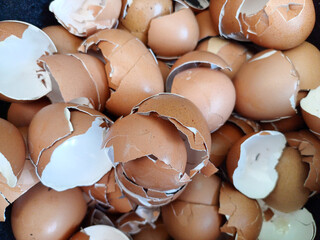A dense pile of broken brown and white eggshells, showing their varied shapes, textures, and curved...