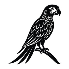 bird on a branch