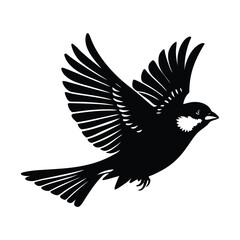 vector illustration of a bird