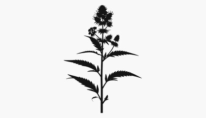 Silhouette of a Wild Plant: Elegant silhouette of a wild plant with intricate leaves and berries, perfect for botanical illustrations or nature-themed designs.