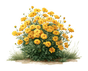 Vibrant yellow flowering plants in natural garden nature