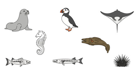 Obraz premium Vector marine wildlife illustration featuring seal, puffin, manta ray, seahorse, eel, barracuda, sea urchin art