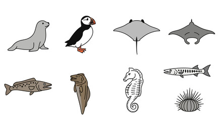 Vector illustration of sea creatures including puffin seal stingray seahorse barracuda eel and sea urchin