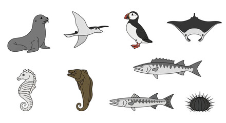 Obraz premium Vector illustration of ocean animals sea life creatures marine wildlife seal puffin seahorse ray fish and more fauna species