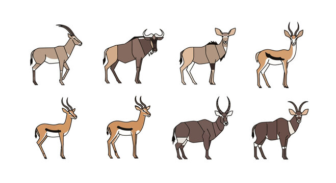 Vector illustration of african antelope species including roan sable kudu springbok and wildebeest wildlife fauna art
