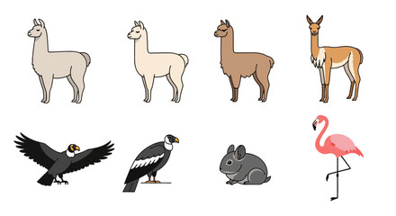 Obraz premium Vector illustration of south american animals llama vicuna andean condor chinchilla and flamingo vector art