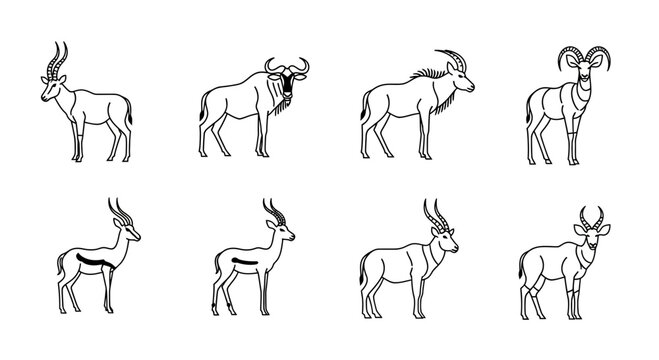 Vector illustration of african antelopes and wildebeest line art vector image for wildlife and safari designs