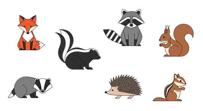 Vector cute cartoon forest animals illustration featuring fox raccoon squirrel skunk badger hedgehog chipmunk art