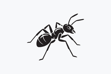 black ant illustration Vector