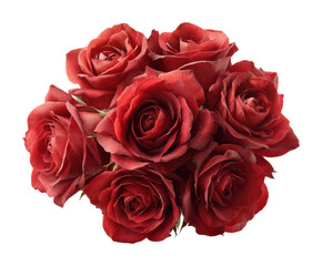 Bouquet of red roses floral arrangement beauty