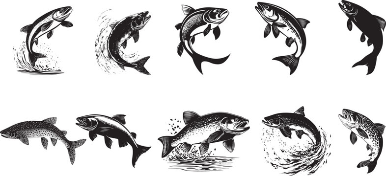 Trout Spawning Body angled in shallow water with fins extended and tail flicking while laying eggs. full length silhouette black vector illustration