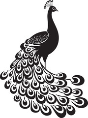 Fototapeta premium Peacock Standing Body upright head held high tail feathers resting behind. full length silhouette black vector illustration
