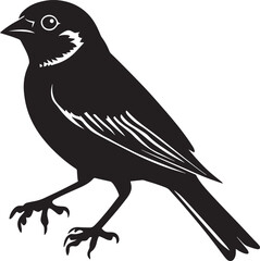 Obraz premium Sparrow Communicating Body upright head forward wings slightly spread. full length silhouette black vector illustration