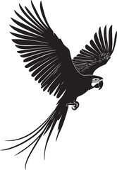 Macaw Soaring Gliding through the air with wings wide and tail feathers fanned. full length silhouette black vector illustration