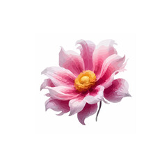 Follower Nature professional Follower