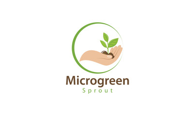 Microgreen Sprout Logo Illustration Organic Local Urban Farm Design Concept Sustainable Vector
