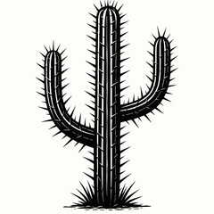 Vintage Handdrawn Cactus Plant with Thorns Desert Botanical Illustration