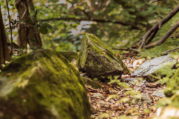 Sarvanots trail in the Italian Piedmont