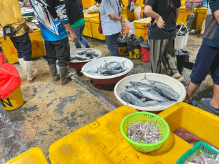 Muara Angke, 26 June 2025. Traditional Fish Market in Jakarta, Indonesia - Local Seafood Market...