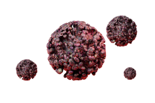 3d Coronavirus particle virus with red spike protein on red surface, close up view of virus structure icon, detailed viral infection concept with digital illustration and dark background. 3d render.