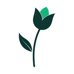 Obraz premium Elegant single tulip flower with a gracefully curved stem and detailed leaves presented in a clean floral design