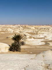 White rock formations and sand dunes in Egypt's White Desert, natural desert landscape	