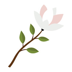 Elegant minimalist magnolia branch illustration in a flat vector style perfect for botanical designs