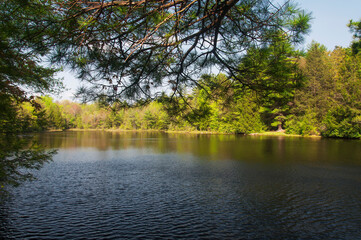 a nature landscape of hickory run lake in springtime in pennsylvania