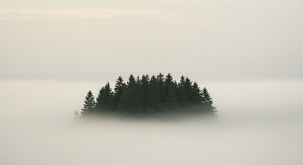 Fototapeta premium Enigmatic Evergreen Island Shrouded in Morning Mist