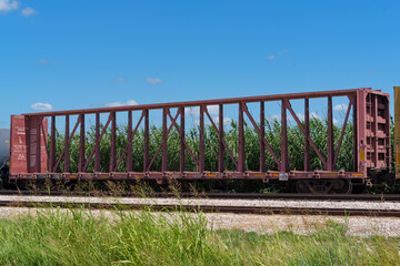 Long, rust-colored  centerbeam car sits idle in a rail siding on a sunny Texas summer afternoon.