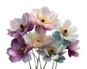 Vibrant floral arrangement bright nature beauty