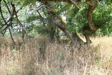 Naturschutz