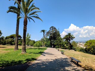 Fototapeta premium Overview of Nice from the Parc Castel des Deux Rois, France - July 2025 