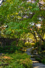 길거리, 구름, 궤도, 들판, 골목, 아스팔트, 길, 공원, 레인, 여행, 시골, 여름, 농촌, 경관, 경로, green, 국가, sky, 나무, 네이처, 가을, 나뭇잎, 식물, 산책로