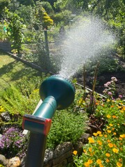 garten, wasserknappheit, gießen, wasser, trockenheit, pflanzen, blumen, schrebergarten,...