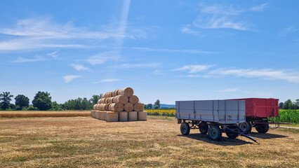Large stack of round hay bales on a dry summer field under blue sky