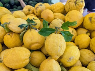 Closeup of lemons in Menton on the French Riviera - July 2025