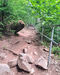 Scenic Forest Trail with Stone Steps and Lush Greenery in Summer