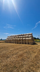 Large stack of round hay bales on a dry summer field under blue sky