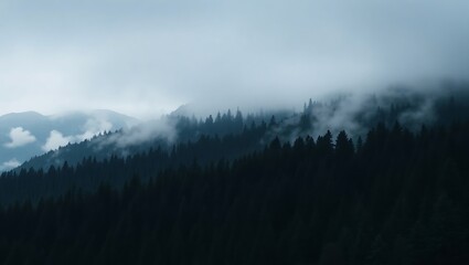 A view of misty mountains with trees and fog obscuring the peaks in a muted and atmospheric scene