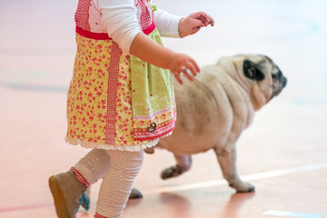 little girl in a dirndl and a pug dog walk side by side