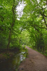 These pictures of the nature and nature photography