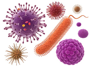 Illustration showing different types of viruses and bacteria on a white background in a close up view