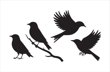 Fototapeta premium Four diverse bird silhouettes including perching and flying poses
